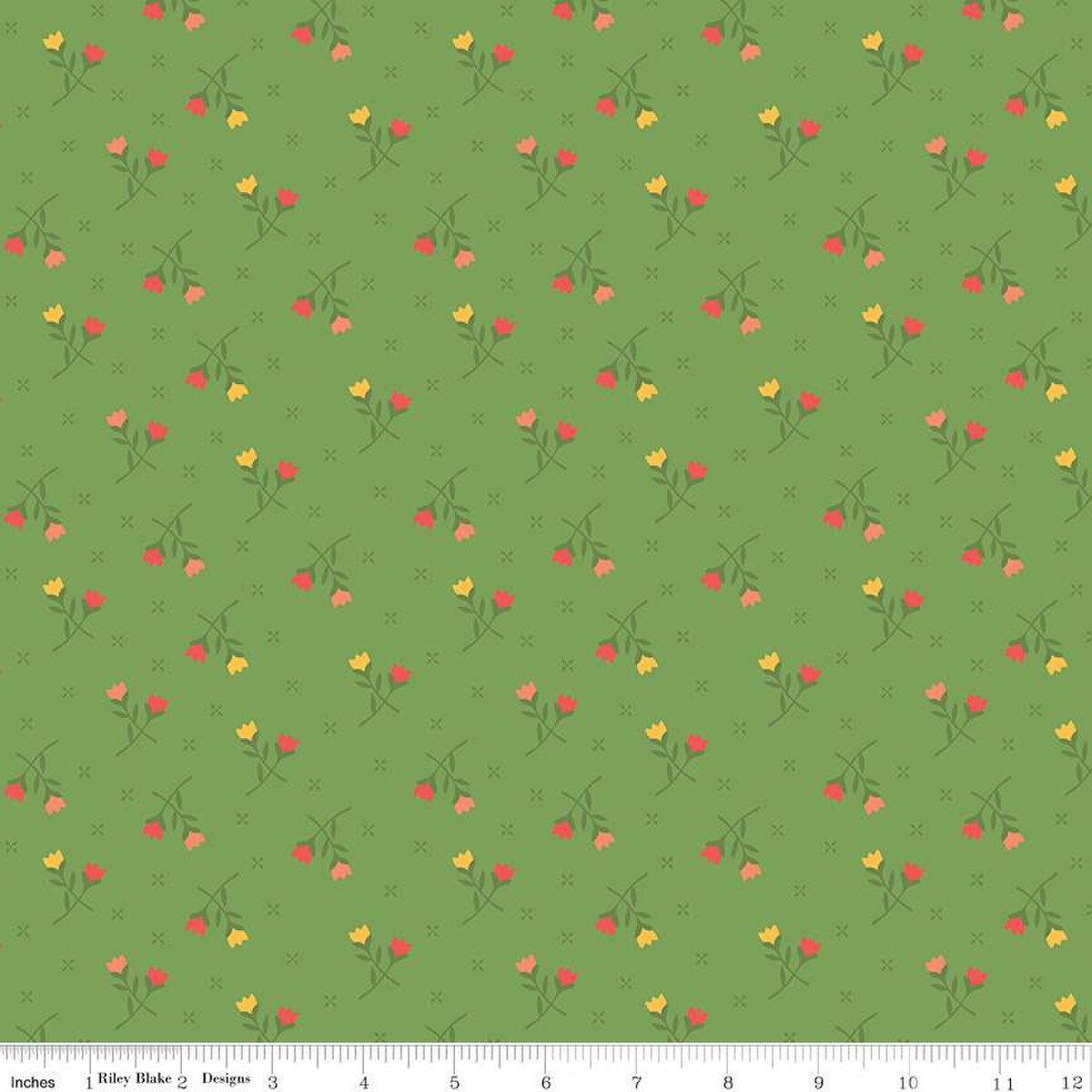 First Blooms Tulips Key Lime C16327