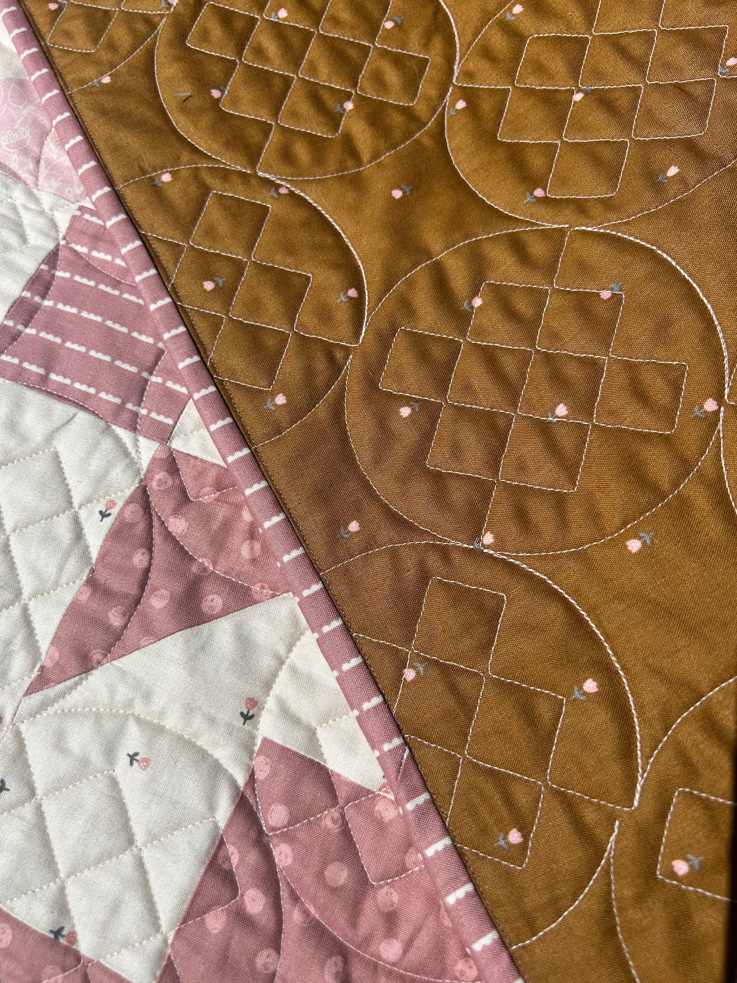 Blush 'n Butterscotch Picnic Time Quilt Kit