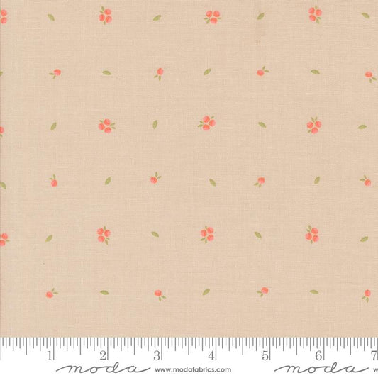 Abloom Little Sprout Blenders - Stone 29216 20