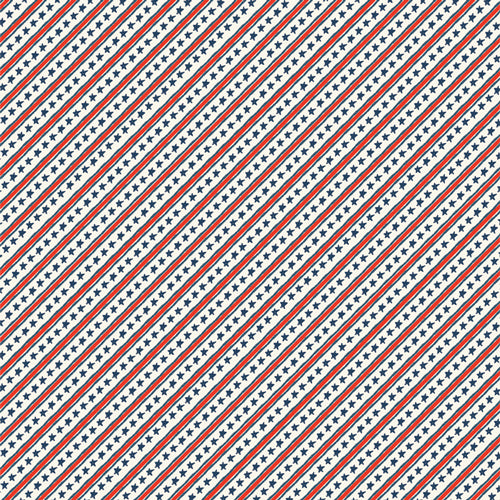 Bloomin Americana 10 inch stacker by Art Gallery Fabrics   10W-BAM