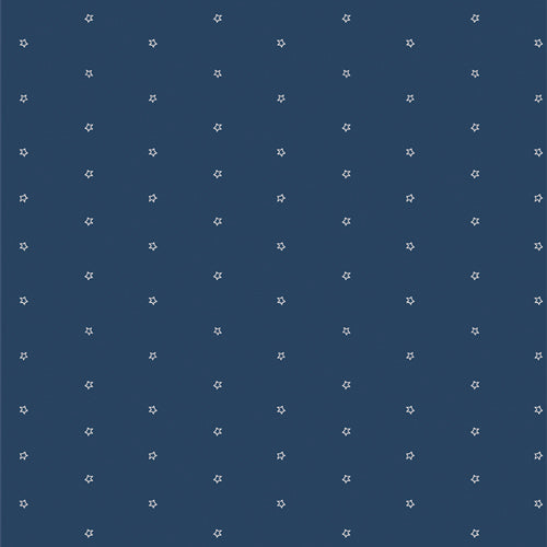 Bloomin Americana 10 inch stacker by Art Gallery Fabrics   10W-BAM