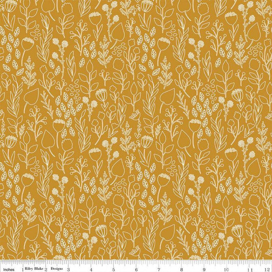 Blush 'n Butterscotch Outlines Butterscotch -C15592